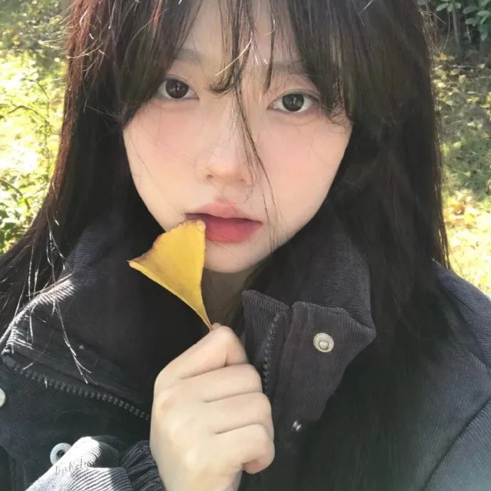麒麟之翼
